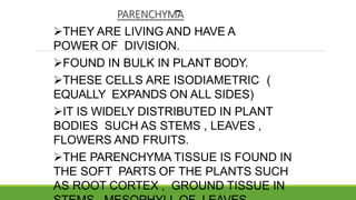 -
PARENCHYMA
THEY ARE LIVING AND HAVE A
POWER OF DIVISION.
FOUND IN BULK IN PLANT BODY.
THESE CELLS ARE ISODIAMETRIC (
EQUALLY EXPANDS ON ALL SIDES)
IT IS WIDELY DISTRIBUTED IN PLANT
BODIES SUCH AS STEMS , LEAVES ,
FLOWERS AND FRUITS.
THE PARENCHYMA TISSUE IS FOUND IN
THE SOFT PARTS OF THE PLANTS SUCH
AS ROOT CORTEX , GROUND TISSUE IN
 