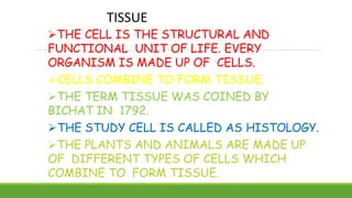 THE CELL IS THE STRUCTURAL AND
FUNCTIONAL UNIT OF LIFE. EVERY
ORGANISM IS MADE UP OF CELLS.
CELLS COMBINE TO FORM TISSUE.
THE TERM TISSUE WAS COINED BY
BICHAT IN 1792.
THE STUDY CELL IS CALLED AS HISTOLOGY.
THE PLANTS AND ANIMALS ARE MADE UP
OF DIFFERENT TYPES OF CELLS WHICH
COMBINE TO FORM TISSUE.
TISSUE
 