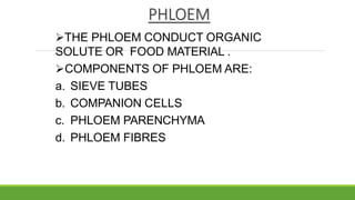 PHLOEM
THE PHLOEM CONDUCT ORGANIC
SOLUTE OR FOOD MATERIAL .
COMPONENTS OF PHLOEM ARE:
a. SIEVE TUBES
b. COMPANION CELLS
c. PHLOEM PARENCHYMA
d. PHLOEM FIBRES
 