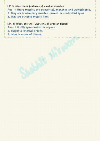 L.P. 3: Give three features of cardiac muscles.
Ans- 1. Heart muscles are cylindrical, branched and uninucleated.
2. They are involuntary muscles, cannot be controlled by us.
3. They are striated muscle fibre.
L.P. 4: What are the functions of areolar tissue?
Ans- 1. It fills space inside the organs.
2. Supports internal organs.
3. Helps in repair of tissues.
I
I
I
I
I
I I
i I
I I
I I
I I
I I
I I
I I
1- - - - . . . . . . . . . -
---
 