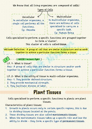 We know that all living organisms are composed of cells.
Types of Cells
Unicellular
In unicellular organisms, a
single cell performs all the
functions.
Eg- Amoeba
Multicellular
In multicellular organisms,
there are millions of cells
specialised to carry on a
specific task.
Eg- Human Being
Cells specialised to perform a specific functions are grouped together
to form a ‘cluster’.
This cluster of cells is called tissue.
#Kitaabi Definition: A group of cell that are similar in structure and as work
together to achieve a particular function forms a tissue
L.P. 1- What is tissue?
Ans- A group of cells that are similar in structure and/or work
together to achieve a particular function forms a tissue.
L.P. 2- What is the utility of tissue in multi-cellular organisms.
Ans- 1. They provide defined structure.
2. They provide mechanical strength.
3. They facilitate division of labor.
[ NCERT Intext Pg61 ]
Plant Tissues
Cells specialised to perform a specific functions in plants are plant
tissues.
Characteristics of plant tissues:
1. Growth in plants occurs only in certain specific regions, this is due
to dividing tissues located at the points.
2. These dividing tissues are also called meristematic tissues.
3. When the meristematic tissues takes up a specific role and lose the
ability to divide - they form a specific type of permanent tissues.
- -
-....--- -------- - -
~
i
-
-
Y
I
I
I
I
I
I I
I
I
I I I
I
I I I
I I
I
I
I I
I I
- - - ............. - - - - ---
I
- - - . . . . . . . . . . . . . . . . . -
I
I
I
-
d
W - - . . . . . . . . . . . . . . . . . . . . -
-
19..-- -
X
I I
I
-
I
i
I
I
I
I
I
1 - - - . . . . . . . . . . . . . . . . -
-
 