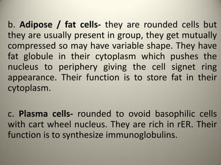 b. Adipose / fat cells- they are rounded cells but
they are usually present in group, they get mutually
compressed so may have variable shape. They have
fat globule in their cytoplasm which pushes the
nucleus to periphery giving the cell signet ring
appearance. Their function is to store fat in their
cytoplasm.
c. Plasma cells- rounded to ovoid basophilic cells
with cart wheel nucleus. They are rich in rER. Their
function is to synthesize immunoglobulins.
 