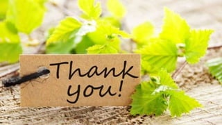 Seminar on TISSUE SYSTEM.pptx