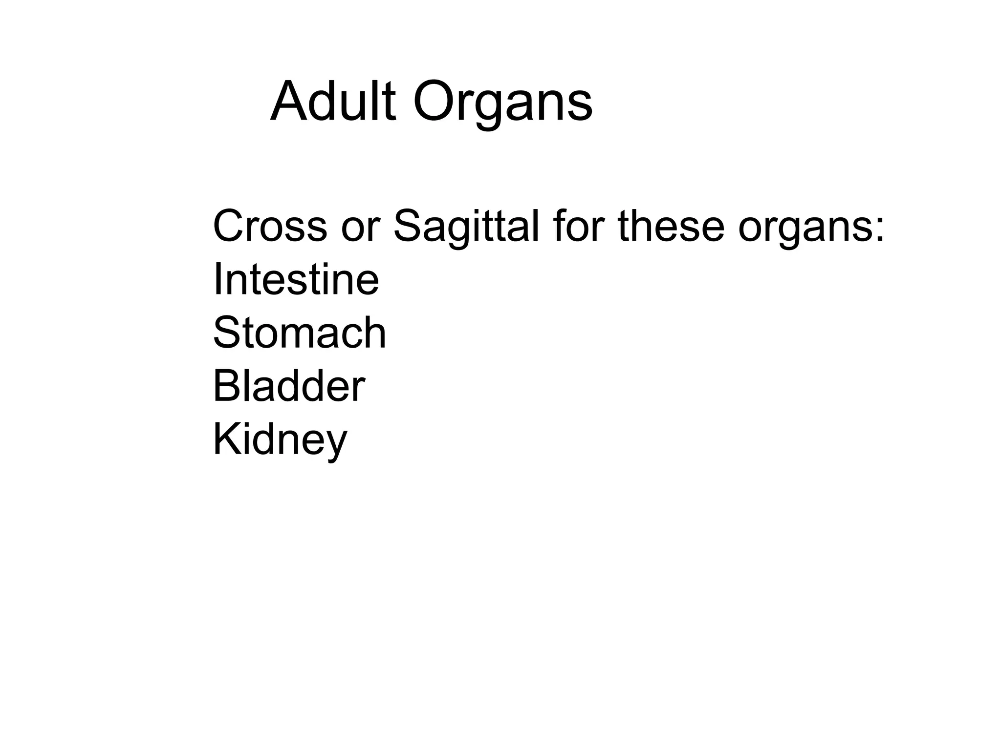 Adult Organs
Cross or Sagittal for these organs:
Intestine
Stomach
Bladder
Kidney
Spleen
 