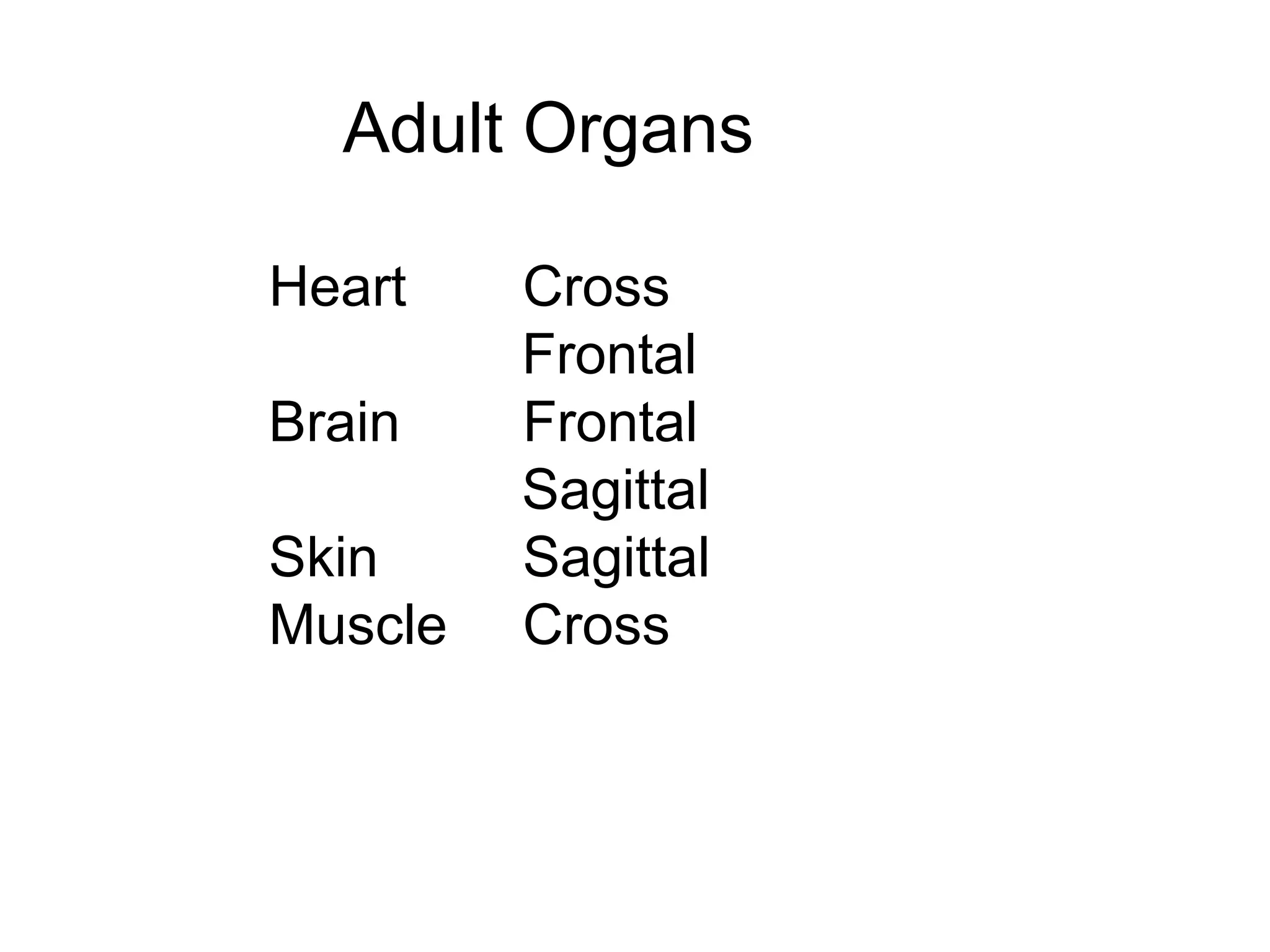 Adult Organs
Heart Cross
Frontal
Brain Frontal
Sagittal
Skin Sagittal
Muscle Cross
 