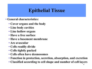 4
Epithelial Tissue
• General characteristics:
• Cover organs and the body
• Line body cavities
• Line hollow organs
• Have a free surface
• Have a basement membrane
• Are avascular
• Cells readily divide
• Cells tightly packed
• Cells often have desmosomes
• Function in protection, secretion, absorption, and excretion
• Classified according to cell shape and number of cell layers
 