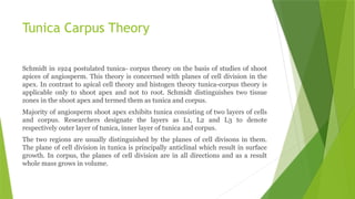 Tunica Carpus Theory
Schmidt in 1924 postulated tunica- corpus theory on the basis of studies of shoot
apices of angiosperm. This theory is concerned with planes of cell division in the
apex. In contrast to apical cell theory and histogen theory tunica-corpus theory is
applicable only to shoot apex and not to root. Schmidt distinguishes two tissue
zones in the shoot apex and termed them as tunica and corpus.
Majority of angiosperm shoot apex exhibits tunica consisting of two layers of cells
and corpus. Researchers designate the layers as L1, L2 and L3 to denote
respectively outer layer of tunica, inner layer of tunica and corpus.
The two regions are usually distinguished by the planes of cell divisons in them.
The plane of cell division in tunica is principally anticlinal which result in surface
growth. In corpus, the planes of cell division are in all directions and as a result
whole mass grows in volume.
 