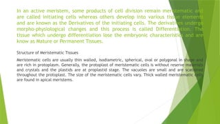 In an active meristem, some products of cell division remain meristematic and
are called initiating cells whereas others develop into various tissue elements
and are known as the Derivatives of the initiating cells. The derivatives undergo
morpho-physiological changes and this process is called Differentiation. The
tissue which undergo differentiation lose the embryonic characteristics and are
know as Mature or Permanent Tissues.
Structure of Meristematic Tissues
Meristematic cells are usually thin walled, isodiametric, spherical, oval or polygonal in shape and
are rich in protoplasm. Generally, the protoplast of meristematic cells is without reserve materials
and crystals and the plastids are at proplastid stage. The vacuoles are small and are scattered
throughout the protoplast. The size of the meristematic cells vary. Thick walled meristematic cells
are found in apical meristems.
 