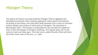 Histogen Theory
The apical cell theory was superceded by Histogen Theory suggested and
developed by Hanstein after studying angiosperm shoot apices and embryos.
According to this theory, the main plant body develops from a mass of meristem
present deeply and consists of three parts or histogens. The outermost is
Dermatogen (skin). This histone is responsible for the formation of epidermis.
Inner to the dermatogen is Periblem (clothing). This histone gives rise to the
cortex of root and shoot apex. The inner one is called Plerome (fills) and forms
the entire inner mass of the axis, i.e. stele.
 