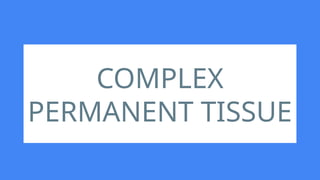 COMPLEX
PERMANENT TISSUE
 