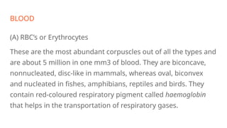 BLOOD
(A) RBC’s or Erythrocytes
These are the most abundant corpuscles out of all the types and
are about 5 million in one mm3 of blood. They are biconcave,
nonnucleated, disc-like in mammals, whereas oval, biconvex
and nucleated in fishes, amphibians, reptiles and birds. They
contain red-coloured respiratory pigment called haemoglobin
that helps in the transportation of respiratory gases.
 