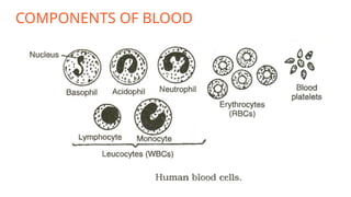 COMPONENTS OF BLOOD
 