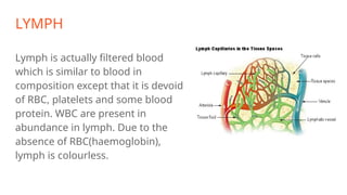 LYMPH
Lymph is actually filtered blood
which is similar to blood in
composition except that it is devoid
of RBC, platelets and some blood
protein. WBC are present in
abundance in lymph. Due to the
absence of RBC(haemoglobin),
lymph is colourless.
 