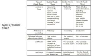 Types of Muscle
tissue
 