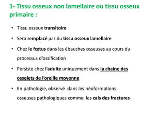 1- Tissu osseux non lamellaire ou tissu osseux
primaire :
• Tissu osseux transitoire
• Sera remplacé par du tissu osseux lamellaire
• Chez le fœtus dans les ébauches osseuses au cours du
processus d’ossification
• Persiste chez l’adulte uniquement dans la chaine des
osselets de l’oreille moyenne
• En pathologie, observé dans les néoformations
osseuses pathologiques comme les cals des fractures
 