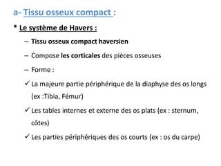 a- Tissu osseux compact :
* Le système de Havers :
– Tissu osseux compact haversien
– Compose les corticales des pièces osseuses
– Forme :
 La majeure partie périphérique de la diaphyse des os longs
(ex :Tibia, Fémur)
 Les tables internes et externe des os plats (ex : sternum,
côtes)
 Les parties périphériques des os courts (ex : os du carpe)
 