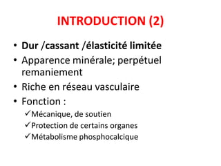 INTRODUCTION (2)
• Dur /cassant /élasticité limitée
• Apparence minérale; perpétuel
remaniement
• Riche en réseau vasculaire
• Fonction :
Mécanique, de soutien
Protection de certains organes
Métabolisme phosphocalcique
 