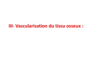 III- Vascularisation du tissu osseux :
 