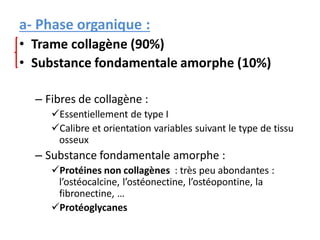 a- Phase organique :
• Trame collagène (90%)
• Substance fondamentale amorphe (10%)
– Fibres de collagène :
Essentiellement de type I
Calibre et orientation variables suivant le type de tissu
osseux
– Substance fondamentale amorphe :
Protéines non collagènes : très peu abondantes :
l’ostéocalcine, l’ostéonectine, l’ostéopontine, la
fibronectine, …
Protéoglycanes
 