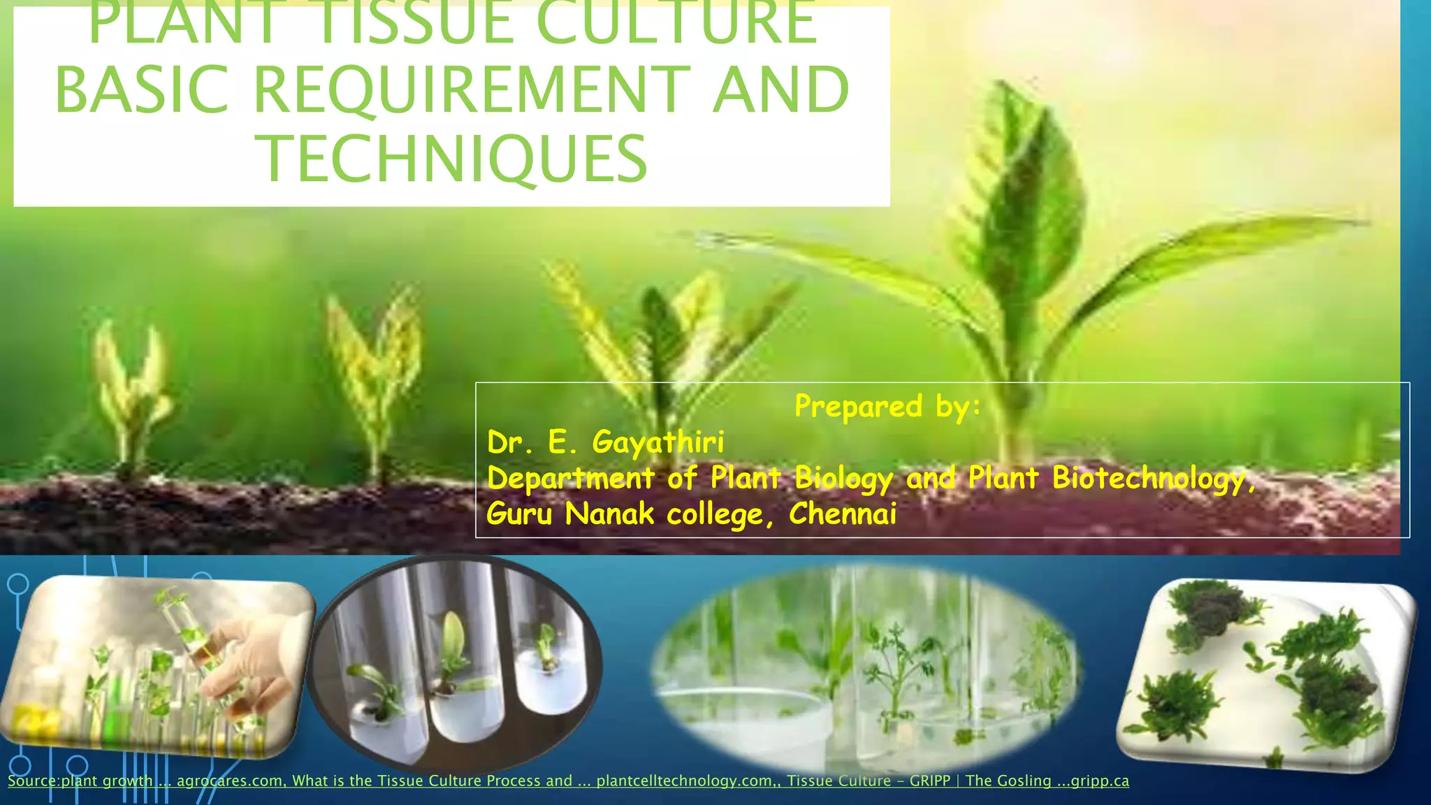 Tissue culture basic techniques | PPTX