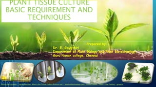 PLANT TISSUE CULTURE
BASIC REQUIREMENT AND
TECHNIQUES
Source:plant growth ... agrocares.com, What is the Tissue Culture Process and ... plantcelltechnology.com,, Tissue Culture - GRIPP | The Gosling ...gripp.ca
Prepared by:
Dr. E. Gayathiri
Department of Plant Biology and Plant Biotechnology,
Guru Nanak college, Chennai
 