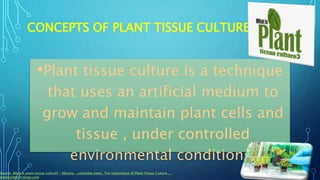 Tissue culture basic techniques | PPTX