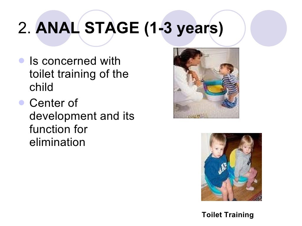 Components Of Human Development components-of-human-development