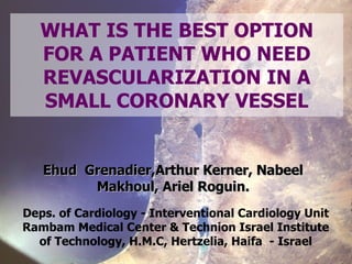WHAT IS THE BEST OPTION FOR A PATIENT WHO NEED REVASCULARIZATION IN A SMALL CORONARY VESSEL Deps. of Cardiology - Interventional Cardiology Unit Rambam Medical Center & Technion Israel Institute of Technology, H.M.C, Hertzelia, Haifa  - Israel Ehud  Grenadier,Arthur Kerner, Nabeel Makhoul, Ariel Roguin. 