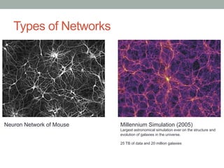 Types of Networks 
Neuron Network of Mouse Millennium Simulation (2005) 
Largest astronomical simulation ever on the struc...