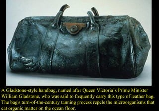 A Gladstone-style handbag, named after Queen Victoria’s Prime Minister 
William Gladstone, who was said to frequently carry this type of leather bag. 
The bag's turn-of-the-century tanning process repels the microorganisms that 
eat organic matter on the ocean floor. 
 
