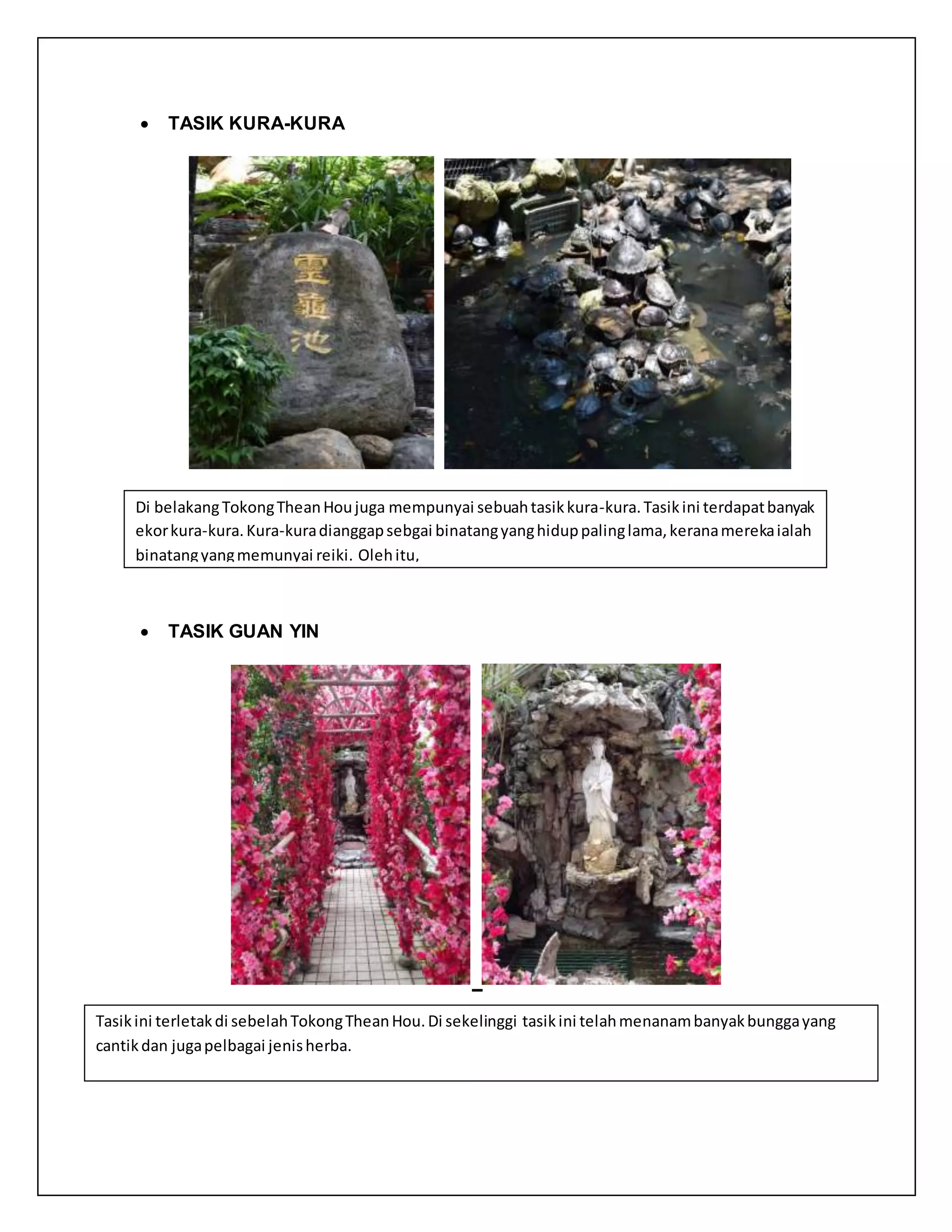  TASIK KURA-KURA
 TASIK GUAN YIN
Di belakangTokongTheanHoujuga mempunyai sebuahtasikkura-kura.Tasikini terdapatbanyak
ekorkura-kura.Kura-kuradianggapsebgai binatangyanghiduppalinglama,keranamerekaialah
binatangyangmemunyai reiki. Olehitu,
Tasikini terletakdi sebelahTokongTheanHou.Di sekelinggi tasikini telahmenanambanyakbunggayang
cantikdan jugapelbagai jenisherba.
 