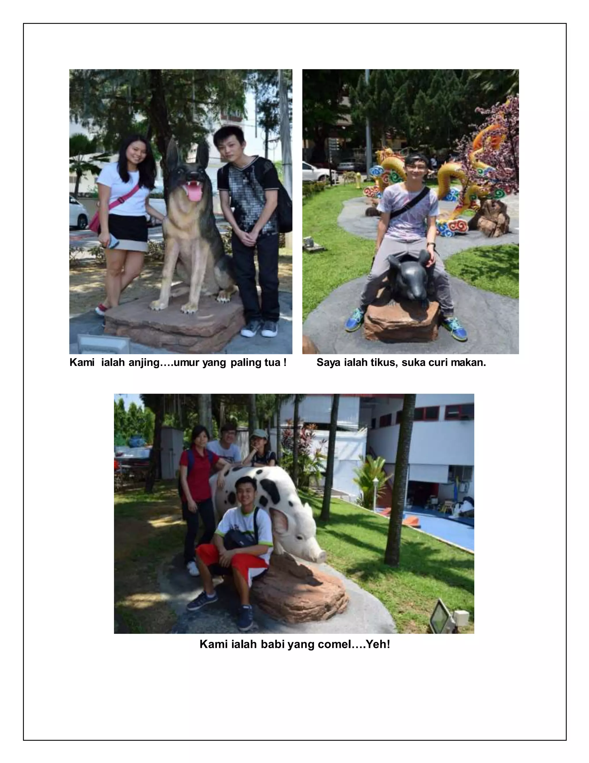 Kami ialah anjing….umur yang paling tua ! Saya ialah tikus, suka curi makan.
Kami ialah babi yang comel….Yeh!
 