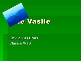 Tite Vasile Elev la ICM UNIO  Clasa a X-a A 