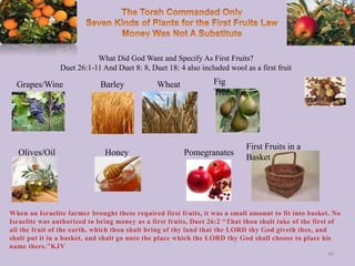 What Did God Want and Specify As First Fruits?
Duet 26:1-11 And Duet 8: 8, Duet 18: 4 also included wool as a first fruit
49
Grapes/Wine Barley Wheat Fig
Trees/Figs
Olives/Oil Honey Pomegranates
First Fruits in a
Basket
 