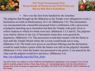 • How was the first fruits handled by the Israelites
The pilgrims that brought up the Bikkurim to the Temple were obligate...