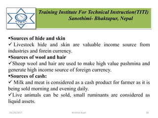Training Institute For Technical Instruction(TITI)
Sanothimi- Bhaktapur, Nepal
Sources of hide and skin
 Livestock hide and skin are valuable income source from
industries and forein currency.
Sources of wool and hair
Sheep wool and hair are used to make high value pashmina and
generate high income source of foreign currency.
Sources of cash:
 Milk and meat is considered as a cash product for farmer as it is
being sold morning and evening daily.
Live animals can be sold, small ruminants are considered as
liquid assets.
05/26/2017 18Krishna Aryal
 