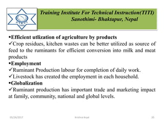 Training Institute For Technical Instruction(TITI)
Sanothimi- Bhaktapur, Nepal
Efficient utlization of agriculture by products
Crop residues, kitchen wastes can be better utilized as source of
feed to the ruminants for efficient conversion into milk and meat
products
Employment
Ruminant Production labour for completion of daily work.
Livestock has created the employment in each household.
Globalization
Ruminant production has important trade and marketing impact
at family, community, national and global levels.
05/26/2017 20Krishna Aryal
 