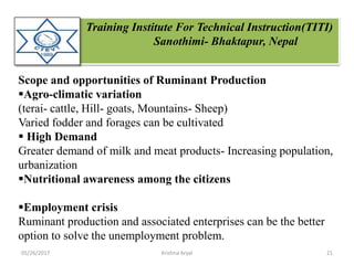 Training Institute For Technical Instruction(TITI)
Sanothimi- Bhaktapur, Nepal
Scope and opportunities of Ruminant Production
Agro-climatic variation
(terai- cattle, Hill- goats, Mountains- Sheep)
Varied fodder and forages can be cultivated
 High Demand
Greater demand of milk and meat products- Increasing population,
urbanization
Nutritional awareness among the citizens
Employment crisis
Ruminant production and associated enterprises can be the better
option to solve the unemployment problem.
05/26/2017 21Krishna Aryal
 