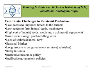 Training Institute For Technical Instruction(TITI)
Sanothimi- Bhaktapur, Nepal
Constraints/ Challenges to Ruminant Production
Low access to improved breeds to the farmers
Low access to farm inputs( seeds, machinery)
High cost of inputs( seeds, medicine, machinery& equipments)
Insufficient storage plants(chilling vats)
Lack of technical know- how
Seasonal Market
Long process to get government services( subsidies)
Risky business
Ineffective insurance policy
Ineffective government policies
05/26/2017 23Krishna Aryal
 