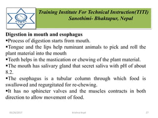 Training Institute For Technical Instruction(TITI)
Sanothimi- Bhaktapur, Nepal
Digestion in mouth and esophagus
Process of digestion starts from mouth.
Tongue and the lips help ruminant animals to pick and roll the
plant material into the mouth
Teeth helps in the mastication or chewing of the plant material.
The mouth has salivary gland that secret saliva with pH of about
8.2.
The esophagus is a tubular column through which food is
swallowed and regurgitated for re-chewing.
It has no sphincter valves and the muscles contracts in both
direction to allow movement of food.
05/26/2017 27Krishna Aryal
 