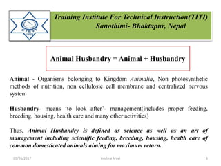 Training Institute For Technical Instruction(TITI)
Sanothimi- Bhaktapur, Nepal
Animal Husbandry = Animal + Husbandry
Animal - Organisms belonging to Kingdom Animalia, Non photosynthetic
methods of nutrition, non cellulosic cell membrane and centralized nervous
system
Husbandry- means ‘to look after’- management(includes proper feeding,
breeding, housing, health care and many other activities)
Thus, Animal Husbandry is defined as science as well as an art of
management including scientific feeding, breeding, housing, health care of
common domesticated animals aiming for maximum return.
05/26/2017 3Krishna Aryal
 