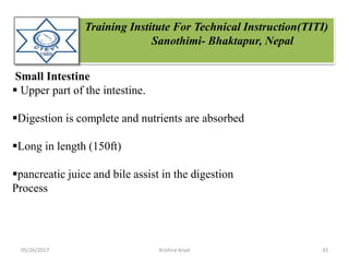 Training Institute For Technical Instruction(TITI)
Sanothimi- Bhaktapur, Nepal
Small Intestine
 Upper part of the intestine.
Digestion is complete and nutrients are absorbed
Long in length (150ft)
pancreatic juice and bile assist in the digestion
Process
05/26/2017 33Krishna Aryal
 