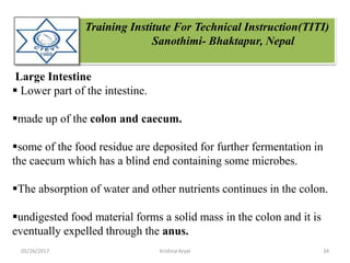 Training Institute For Technical Instruction(TITI)
Sanothimi- Bhaktapur, Nepal
Large Intestine
 Lower part of the intestine.
made up of the colon and caecum.
some of the food residue are deposited for further fermentation in
the caecum which has a blind end containing some microbes.
The absorption of water and other nutrients continues in the colon.
undigested food material forms a solid mass in the colon and it is
eventually expelled through the anus.
05/26/2017 34Krishna Aryal
 