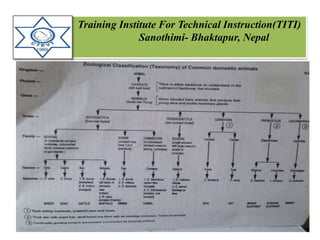 Training Institute For Technical Instruction(TITI)
Sanothimi- Bhaktapur, Nepal
05/26/2017 4Krishna Aryal
 