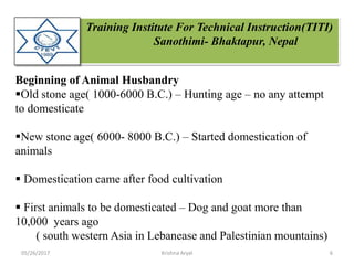 Training Institute For Technical Instruction(TITI)
Sanothimi- Bhaktapur, Nepal
Beginning of Animal Husbandry
Old stone age( 1000-6000 B.C.) – Hunting age – no any attempt
to domesticate
New stone age( 6000- 8000 B.C.) – Started domestication of
animals
 Domestication came after food cultivation
 First animals to be domesticated – Dog and goat more than
10,000 years ago
( south western Asia in Lebanease and Palestinian mountains)
05/26/2017 6Krishna Aryal
 