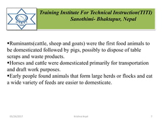 Training Institute For Technical Instruction(TITI)
Sanothimi- Bhaktapur, Nepal
Ruminants(cattle, sheep and goats) were the first food animals to
be domesticated followed by pigs, possibly to dispose of table
scraps and waste products.
Horses and cattle were domesticated primarily for transportation
and draft work purposes.
Early people found animals that form large herds or flocks and eat
a wide variety of feeds are easier to domesticate.
05/26/2017 7Krishna Aryal
 