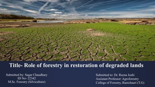 Title- Role of forestry in restoration of degraded lands
Submitted by: Sagar Chaudhary
ID No- 22342
M.Sc. Forestry (Silviculture)
Submitted to: Dr. Reena Joshi
Assistant Professor: Agroforestry
College of Forestry, Ranichauri (T.G)
 