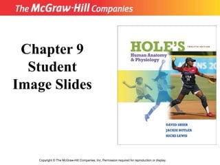 Title




         Chapter 9
          Student
        Image Slides



            Copyright © The McGraw-Hill Companies, Inc. Permission required for reproduction or display.
 