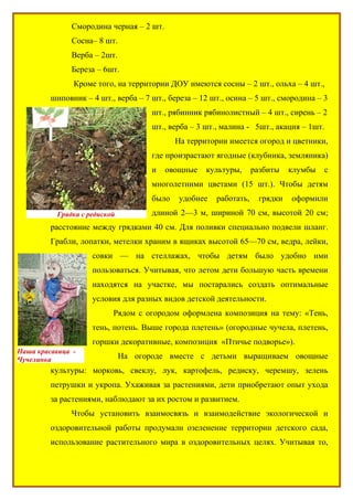 Смородина черная – 2 шт.
               Сосна– 8 шт.
               Верба – 2шт.
               Береза – 6шт.
               Кроме того, на территории ДОУ имеются сосны – 2 шт., ольха – 4 шт.,
         шиповник – 4 шт., верба – 7 шт., береза – 12 шт., осина – 5 шт., смородина – 3
                                      шт., рябинник рябинолистный – 4 шт., сирень – 2
                                      шт., верба – 3 шт., малина - 5шт., акация – 1шт.
                                             На территории имеется огород и цветники,
                                      где произрастают ягодные (клубника, земляника)
                                      и   овощные    культуры,      разбиты   клумбы   с
                                      многолетними цветами (15 шт.). Чтобы детям
                                      было    удобнее   работать,    грядки   оформили
           Грядка с редиской          длиной 2—3 м, шириной 70 см, высотой 20 см;
         расстояние между грядками 40 см. Для поливки специально подвели шланг.
         Грабли, лопатки, метелки храним в ящиках высотой 65—70 см, ведра, лейки,
                     совки — на стеллажах, чтобы детям было удобно ими
                     пользоваться. Учитывая, что летом дети большую часть времени
                     находятся на участке, мы постарались создать оптимальные
                     условия для разных видов детской деятельности.
                           Рядом с огородом оформлена композиция на тему: «Тень,
                     тень, потень. Выше города плетень» (огородные чучела, плетень,
                     горшки декоративные, композиция «Птичье подворье»).
Наша красавица -
Чучелинка                      На огороде вместе с детьми выращиваем овощные
         культуры: морковь, свеклу, лук, картофель, редиску, черемшу, зелень
         петрушки и укропа. Ухаживая за растениями, дети приобретают опыт ухода
         за растениями, наблюдают за их ростом и развитием.
               Чтобы установить взаимосвязь и взаимодействие экологической и
         оздоровительной работы продумали озеленение территории детского сада,
         использование растительного мира в оздоровительных целях. Учитывая то,
 