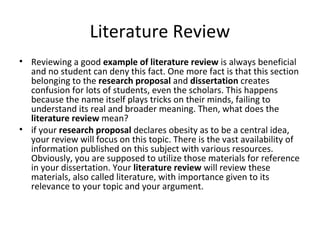 is literature review and abstract the same